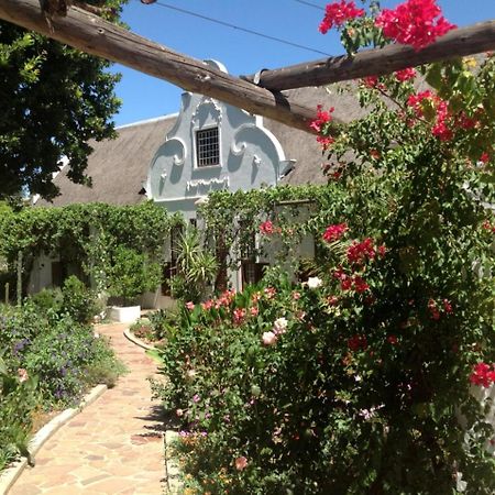 Wittedrift Manor House Hotell Tulbagh Exteriör bild